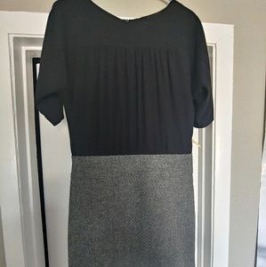 Ann Taylor Loft Dress